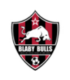 Blaby Bulls
